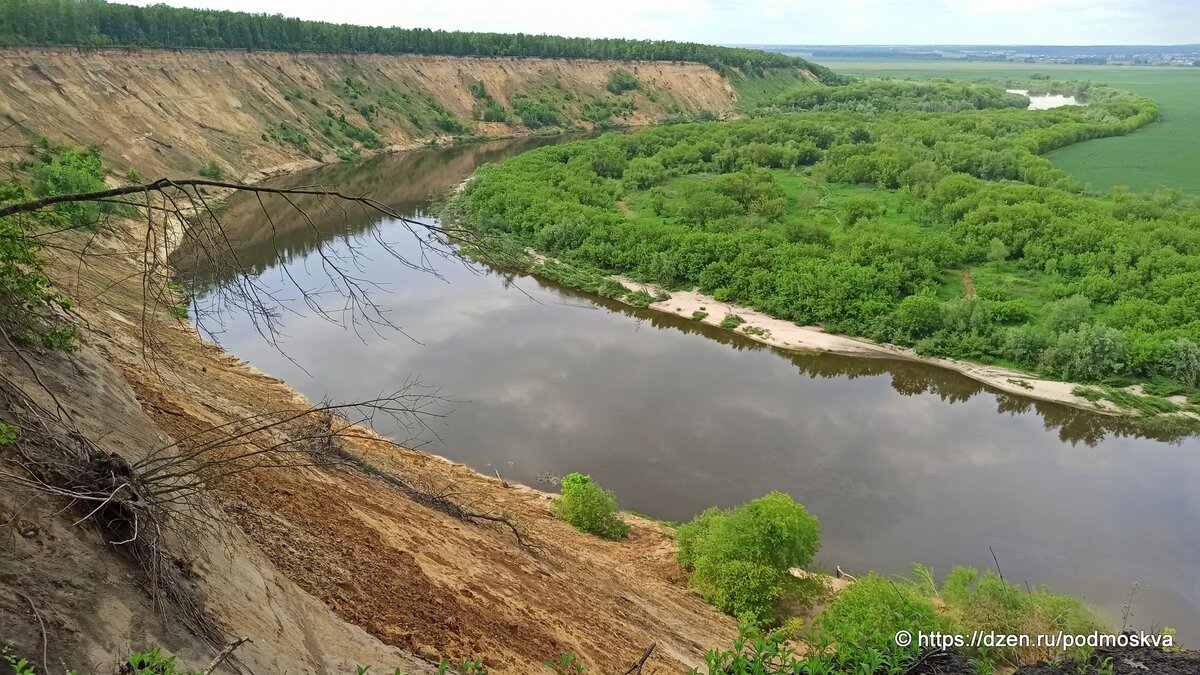 Красивая Россия: урочище Кривоборье в Воронежской области | По России с  Позитивом | Дзен