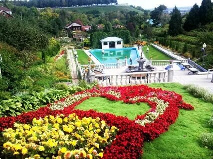 В саду не только плодово-ягодные деревья, но и много цветов