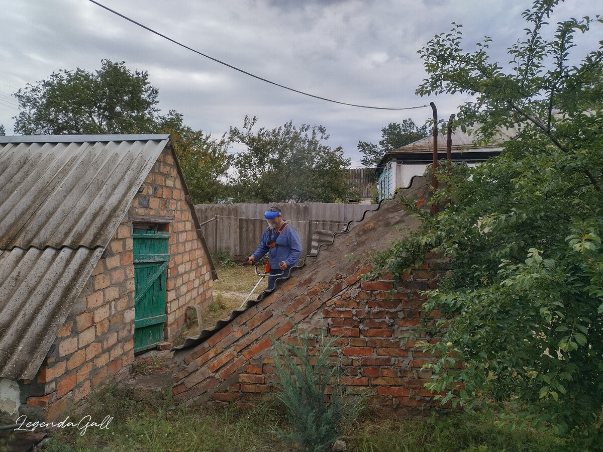 Это я уже замерзла и убежала домой. Олег продолжает косить