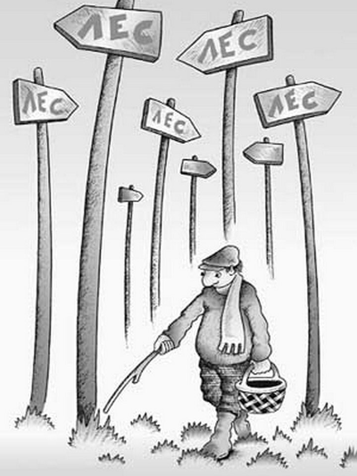 Яндекс картинки