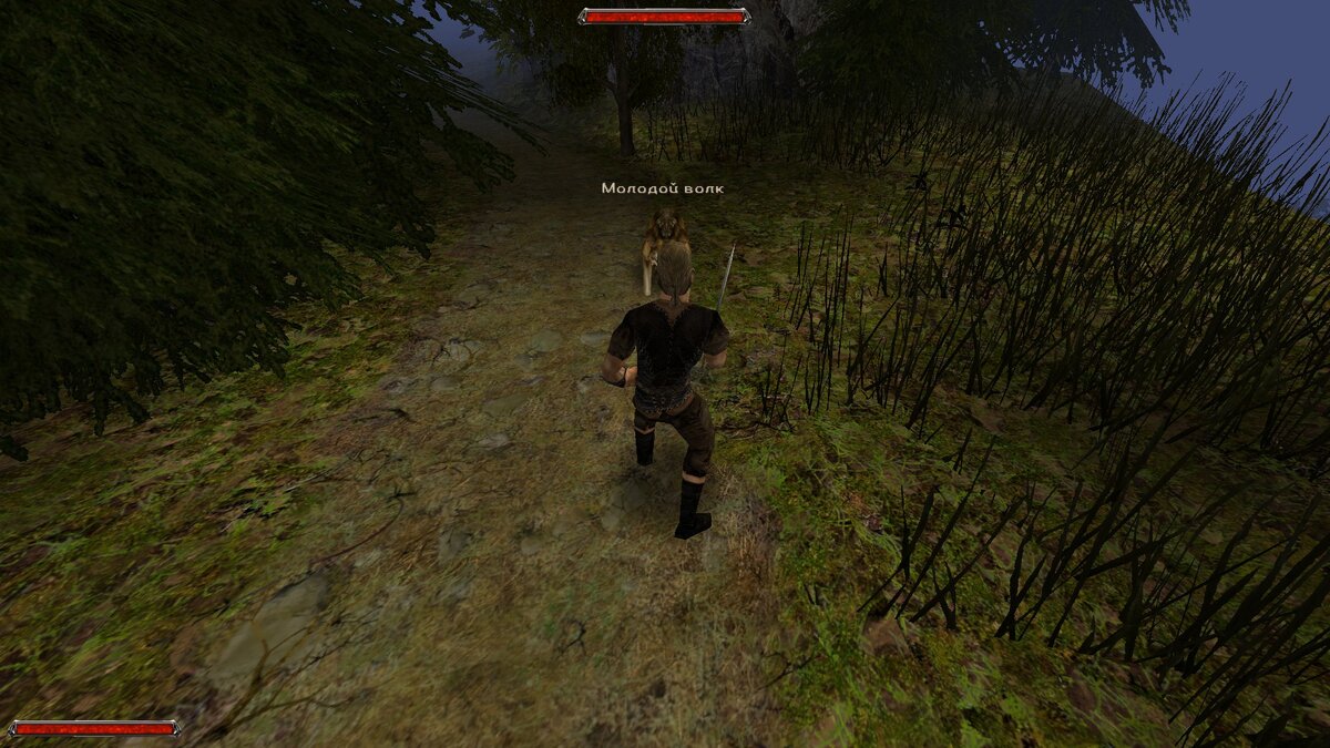 Сражение с волком