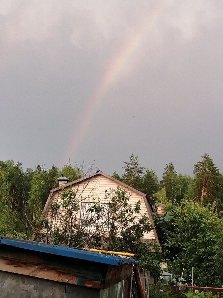 Вот такая радуга после первой грозы.
