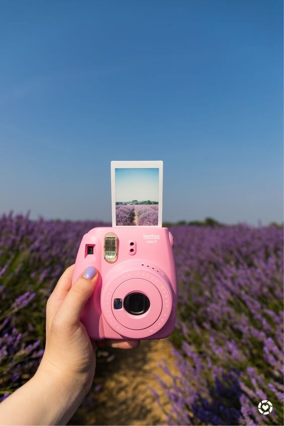 источник: https://www.pinterest.ru/pin/38984353014032434/
