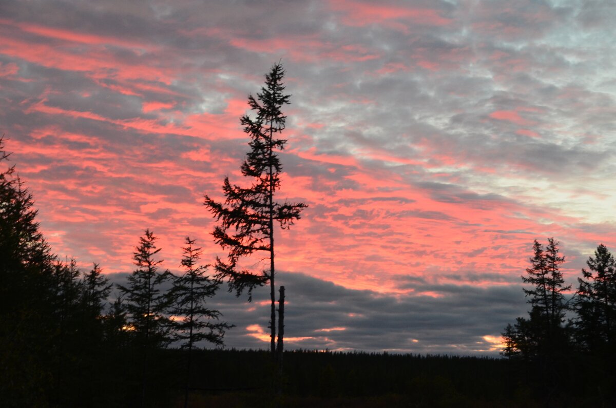 Личный архив