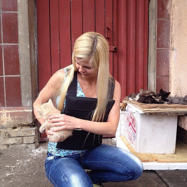 Краматорск-2014. Ни один котёнок не пострадал😊