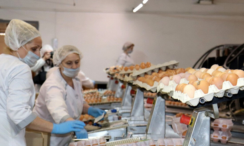 Фото с сайта Министерства сельского хозяйства Новосибирской области