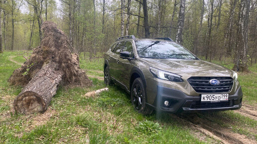 Вы из каких будете? Subaru Outback.