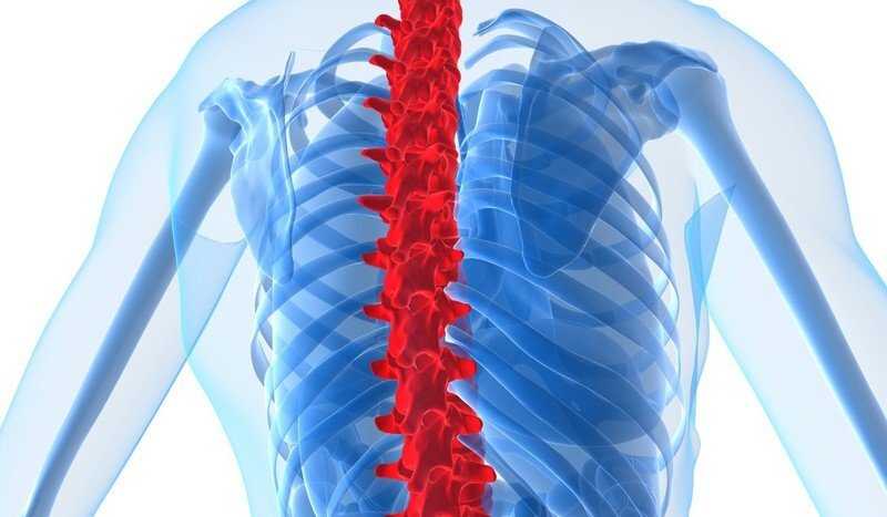 Травма позвоночника картинки
