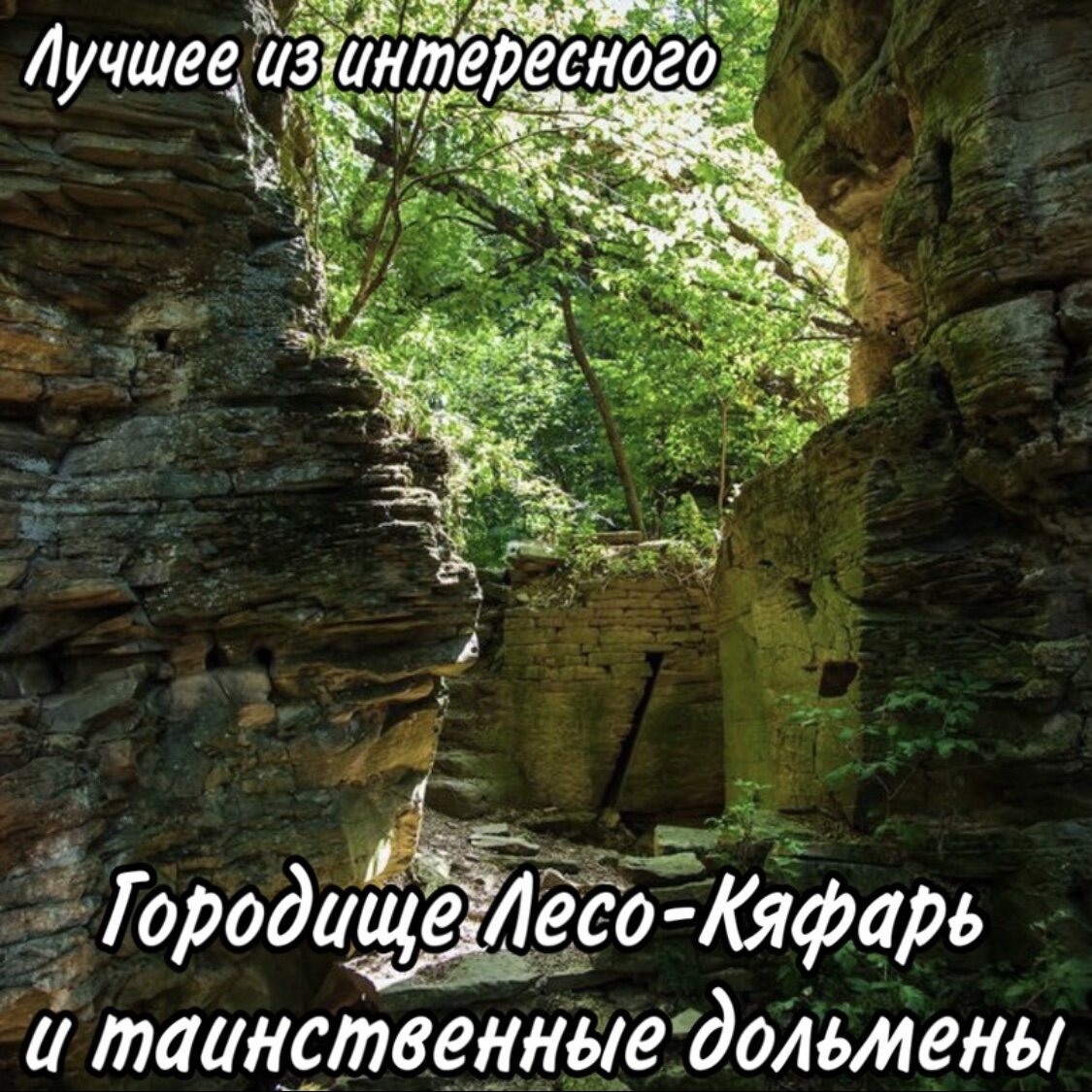 Лесо кяфарь карта