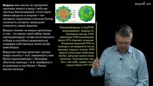 Скачать видео: Дубынин В.А. - 100 часов школьной биологии - 2.8. Вирусы