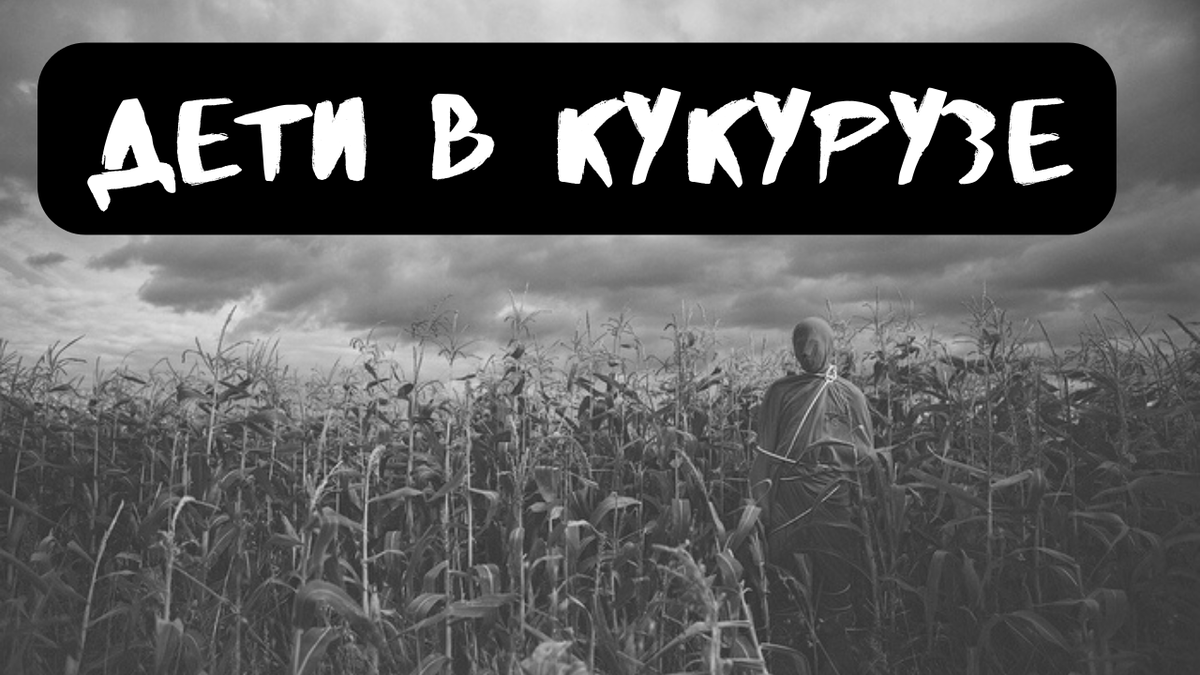 Не забудь подписаться, поставить лайк и написать в комментариях все, что думаешь об истории