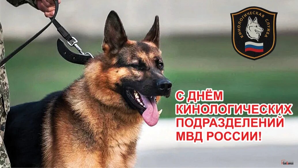 С днем кинолога поздравления в картинках