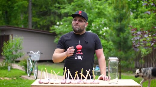 Maestro bbq