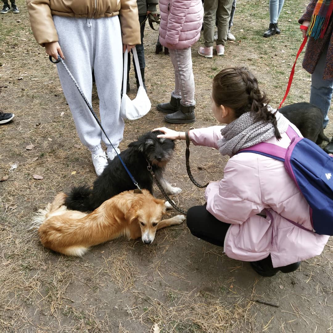 Кадр с выставки- раздачи