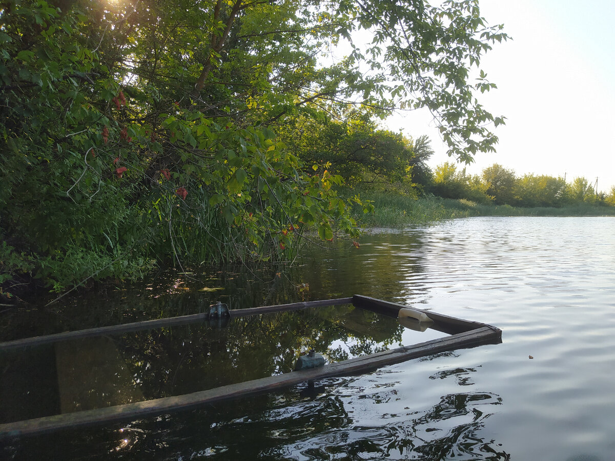 Фото автора. Листай карусель