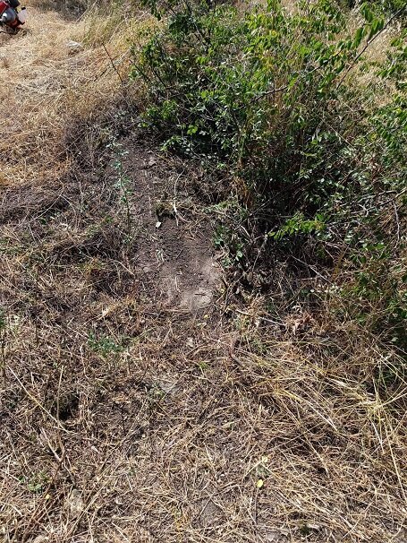 При очистке территории древнего монастырского комплекса Бри Ехци в Нагорном Карабахе (Арцахе) были обнаружены старинные Хачкар и надгробие.