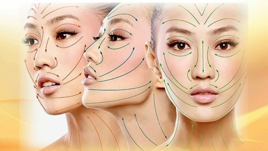 Это массажные линии, антимассаж делается в обратном направлении // изображение beauty-arts.ru 