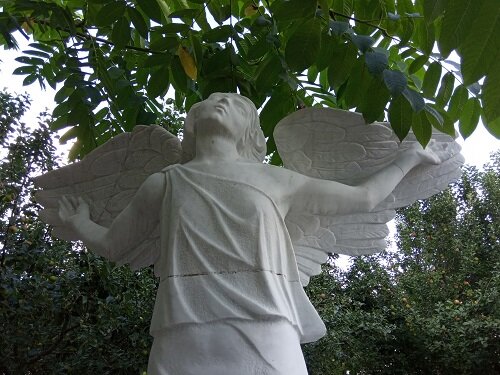 Фотография из личного архива автора 