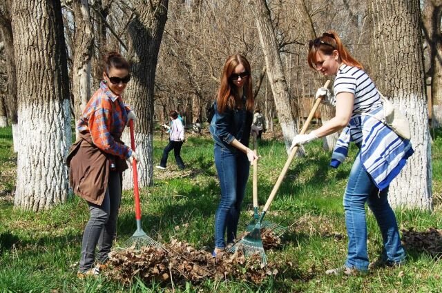 Пора на субботник! Новопак