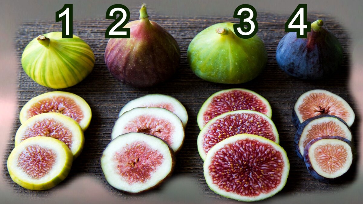 Тест по картинке