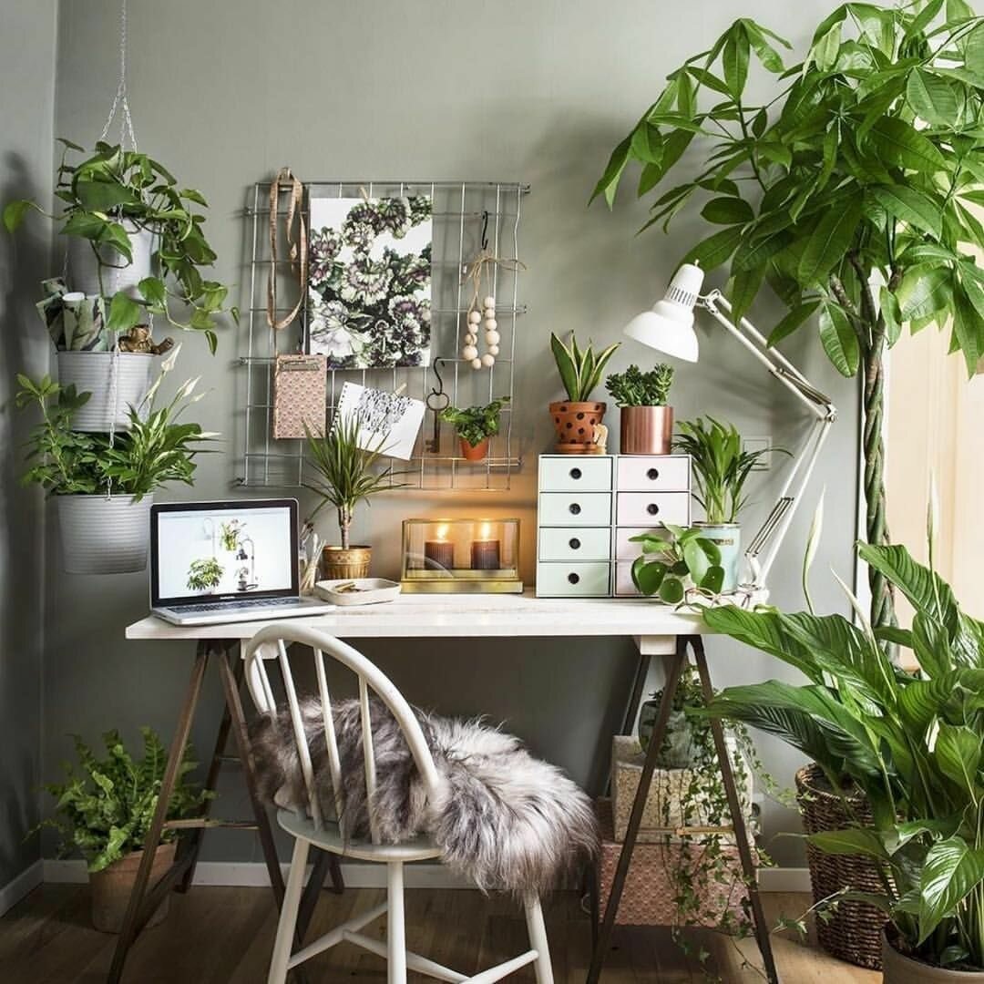 Картинка рабочего пространства из интернета
