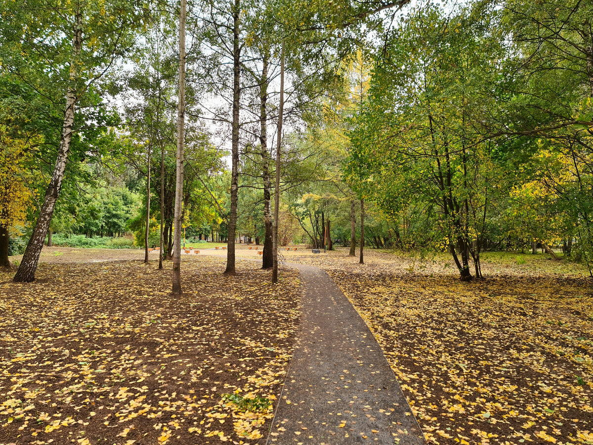 Кусковский лесопарк, фото автора