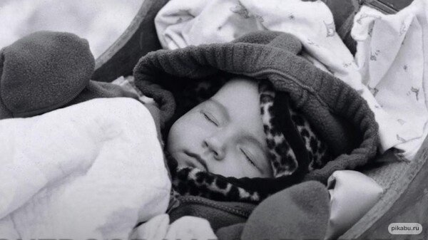 из свободных источников