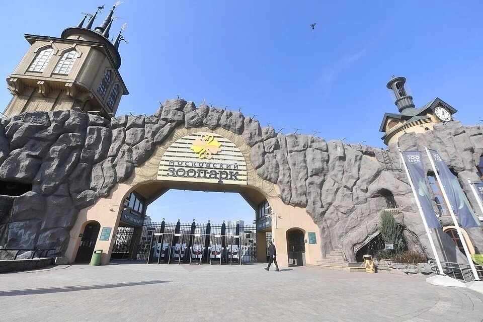     Московский зоопарк в октябре ждет посетителей с 9:00 до 17:00 Иван МАКЕЕВ