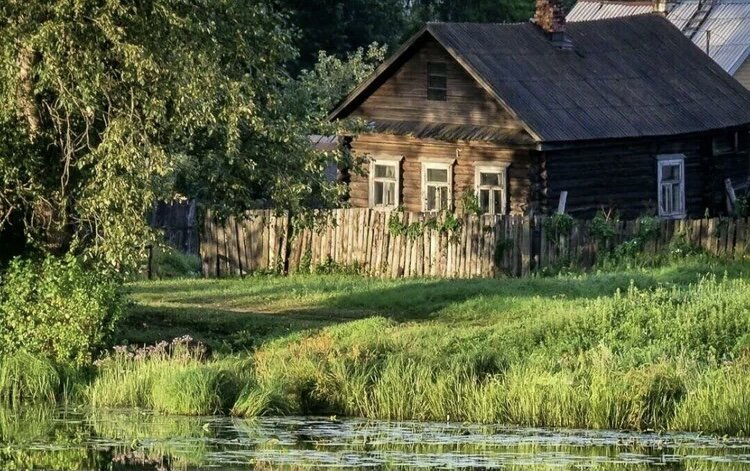 Фото:соцсети