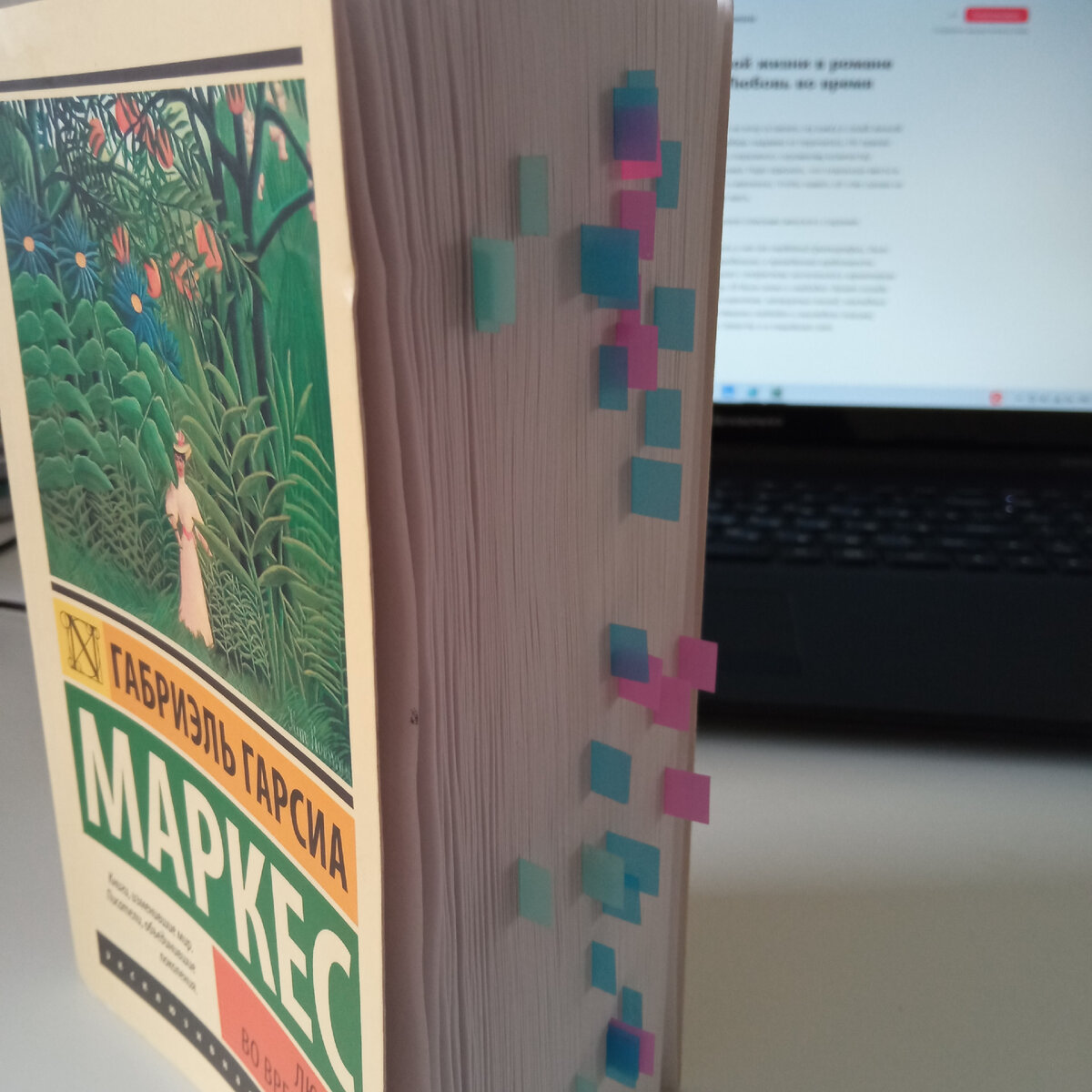 Г. Г. Маркес. Любовь во время чумы (фото автора) 