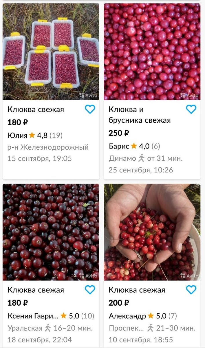 10 литров клюквы сколько килограмм. Клюква и брусника отличия. Клюква и брусника разница. Чем отличается клюква от брусники