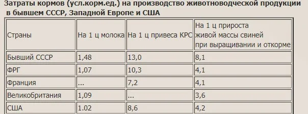 СССР импортировал зерно, а Россия лидер по экспорту. Как такое могло случиться