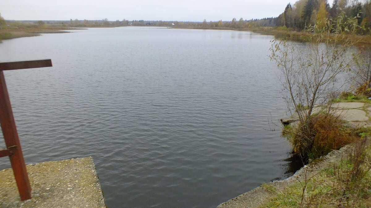 Обычный "запресованный" водоем в Подмосковье. Октябрь.