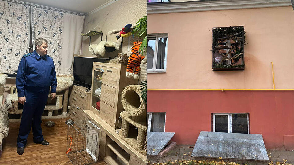 Фото: © Telegram-канал "ПРОКУРАТУРА МОСКВЫ"