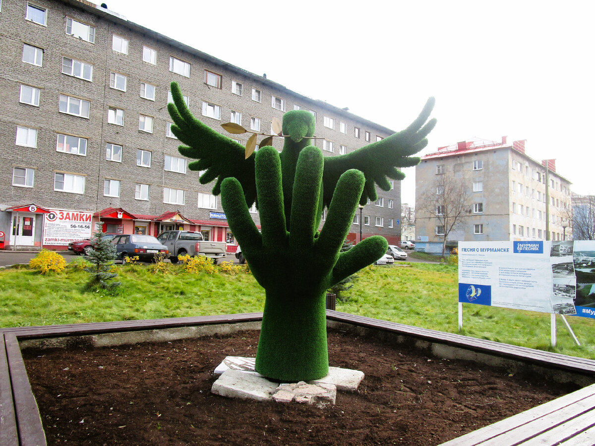 Голубь мира