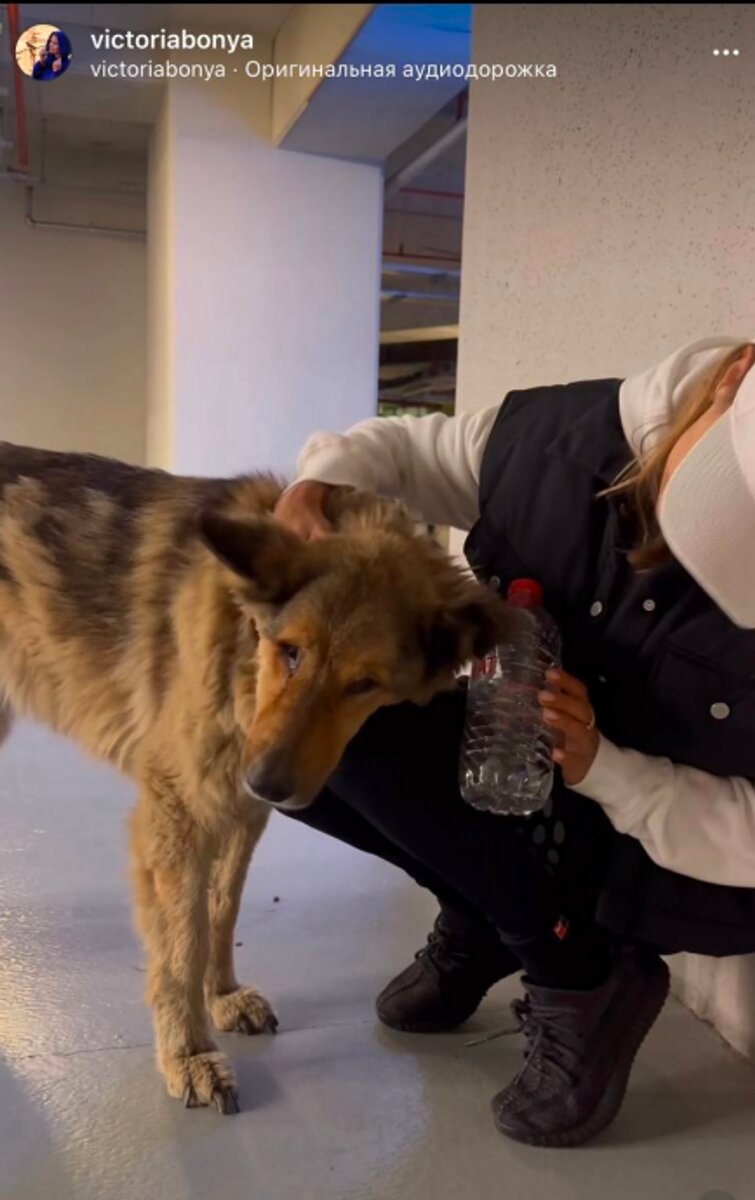    Фото: Инстаграм (запрещен в РФ) Виктории Бони