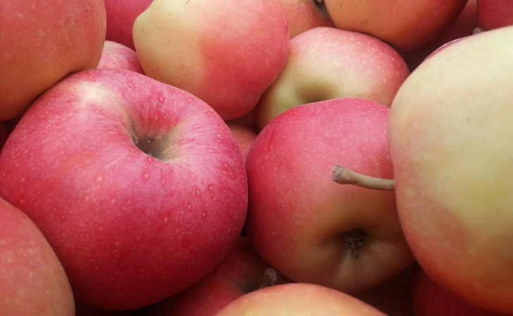    фото из архива Курских известий