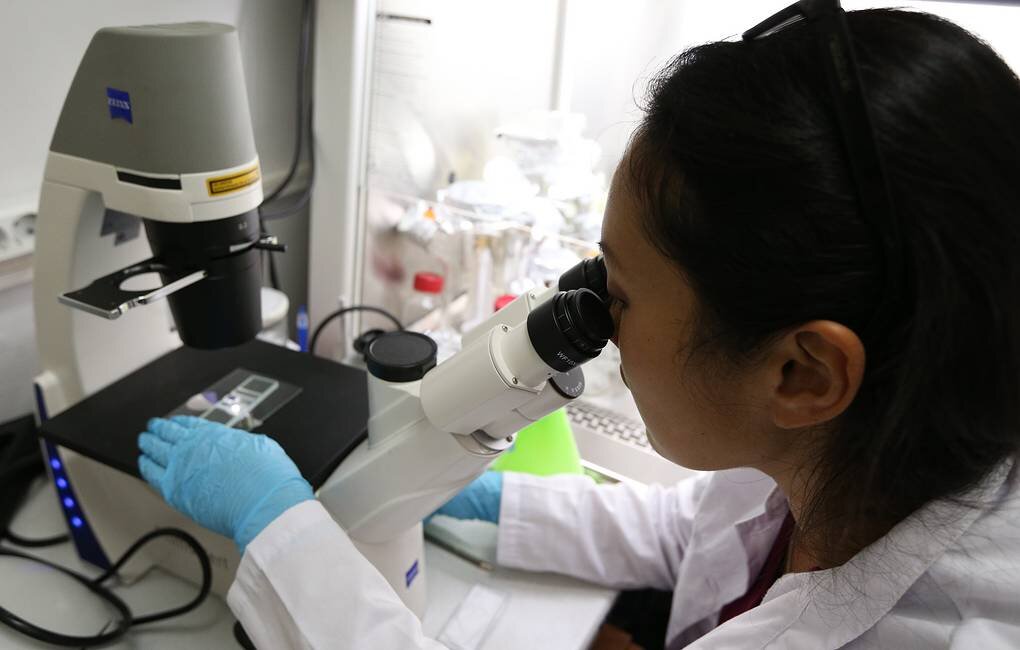 © Артем Коротаев/ТАСС 