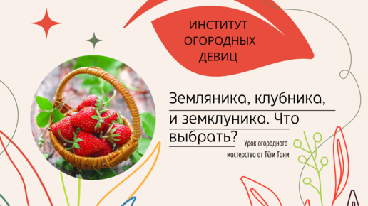 Земляника, клубника, земклуника... Что выбрать для своего сада? Знакомьтесь!