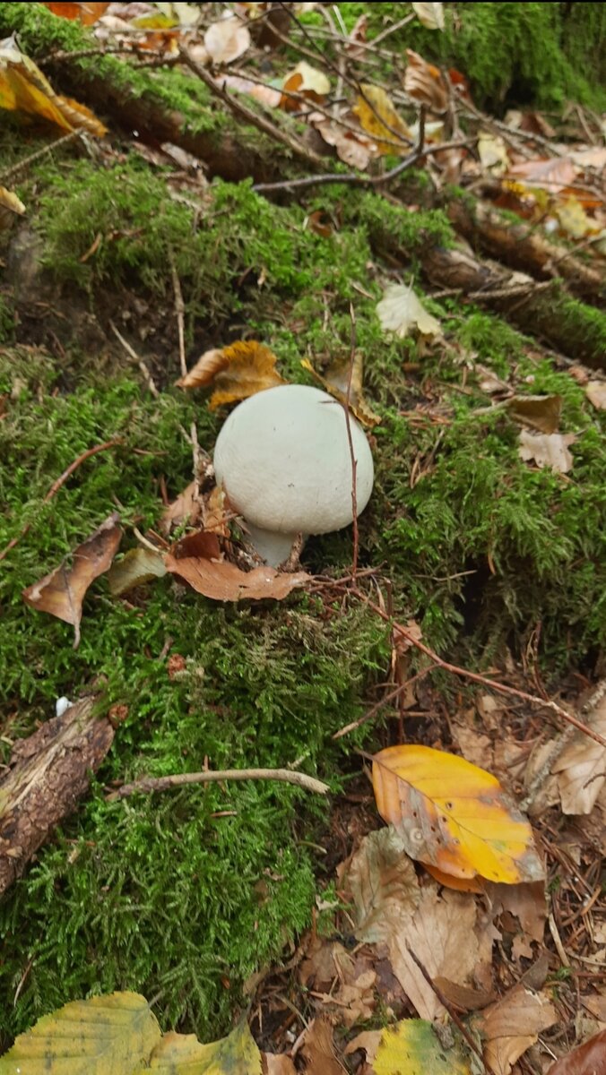 Все фотографии автора.