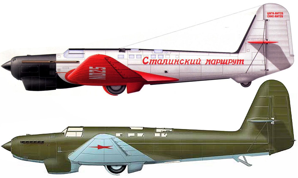 АНТ-25 и ДБ-1.