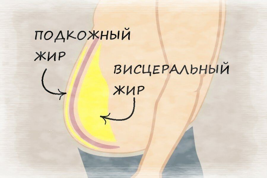 Как бороться с висцеральным. Висцеральный жир опасность. Висцеральный жир таблица. Как измерить висцеральный жир.