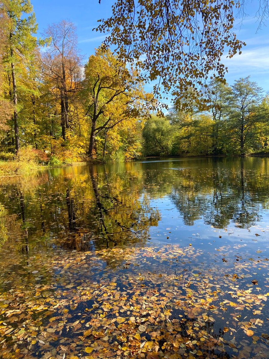 Как прекрасна осень!