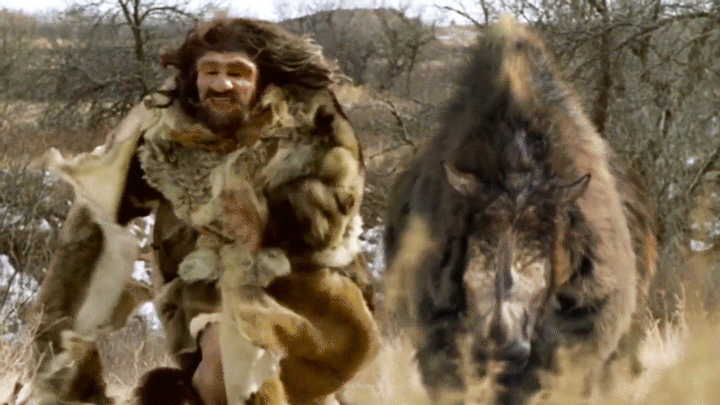 Шерстистый носорог. Носорог из плейстоцена. Вымершее животное. Факты о животных