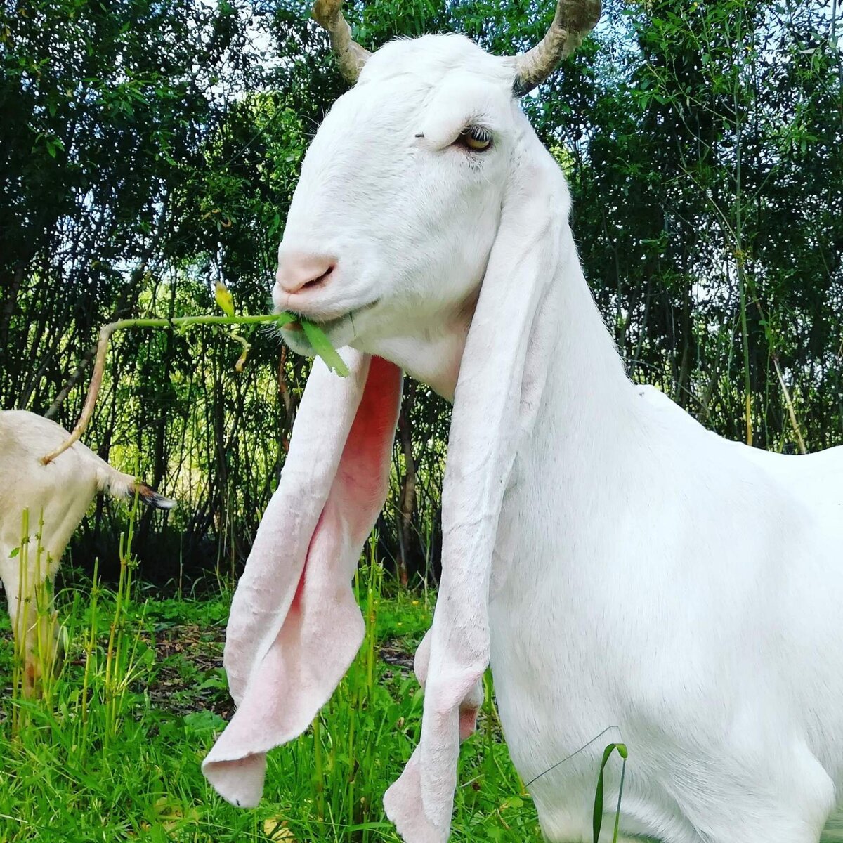 Фото с сайта Яндекс картинки. 