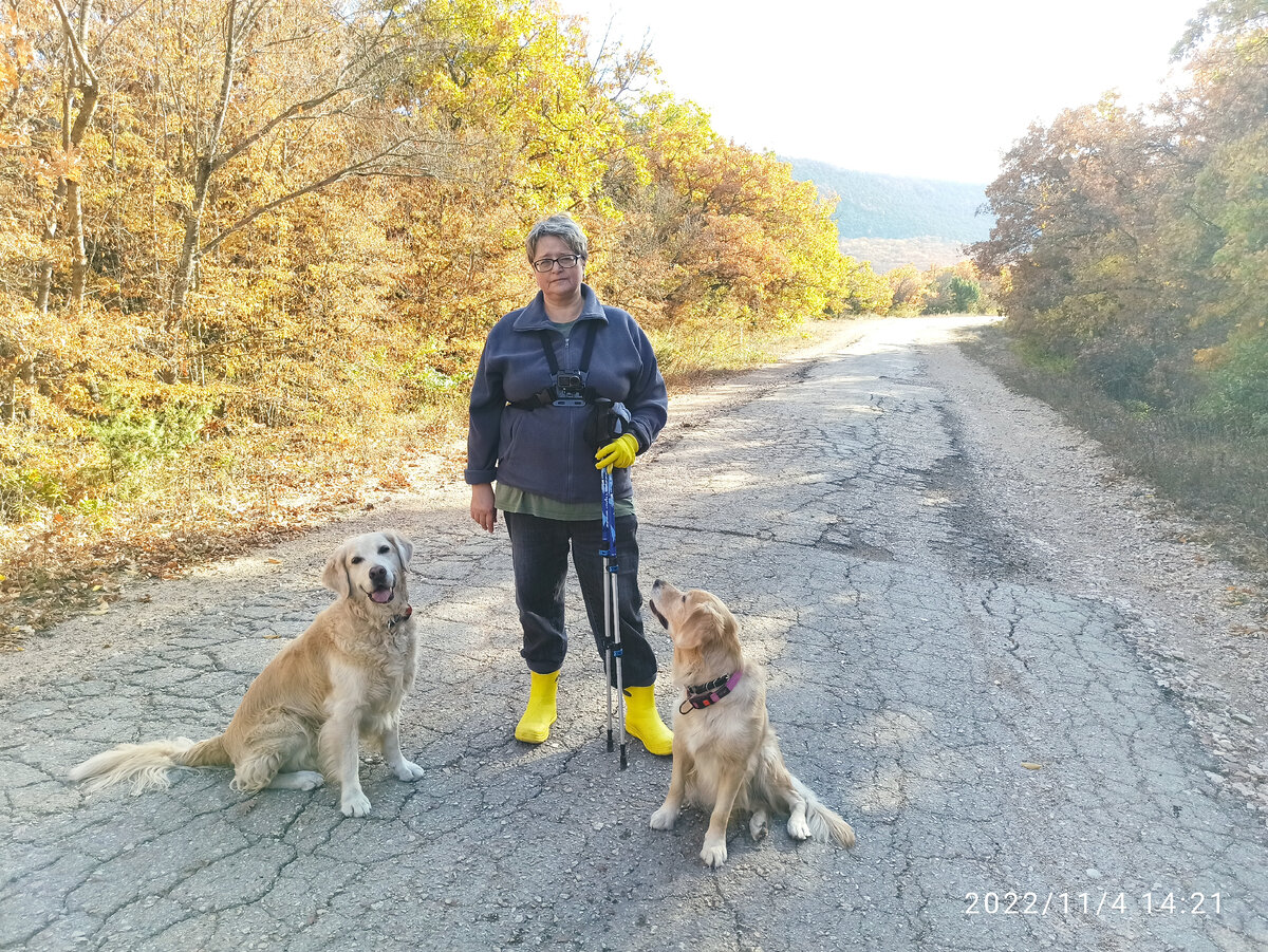 Это мы, уставшие, еле волочём ноги после праздничной прогулки