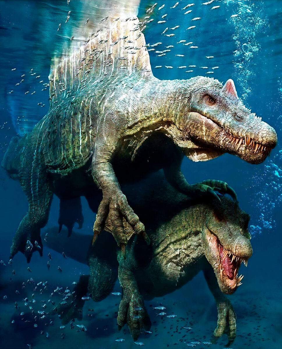 Спинозавр. Крупнейший загадочный хищный динозавр. Интересные факты про динозавра