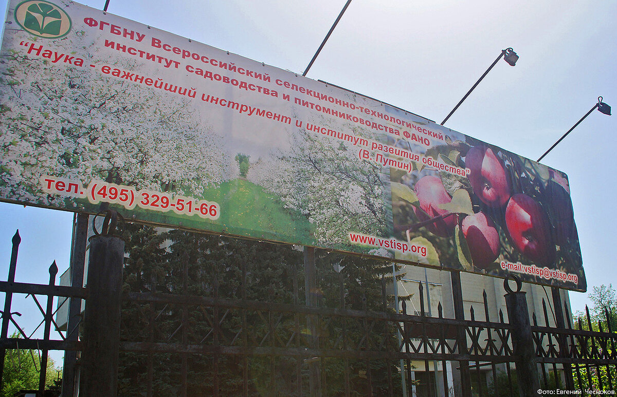 Бирюлево ягодная