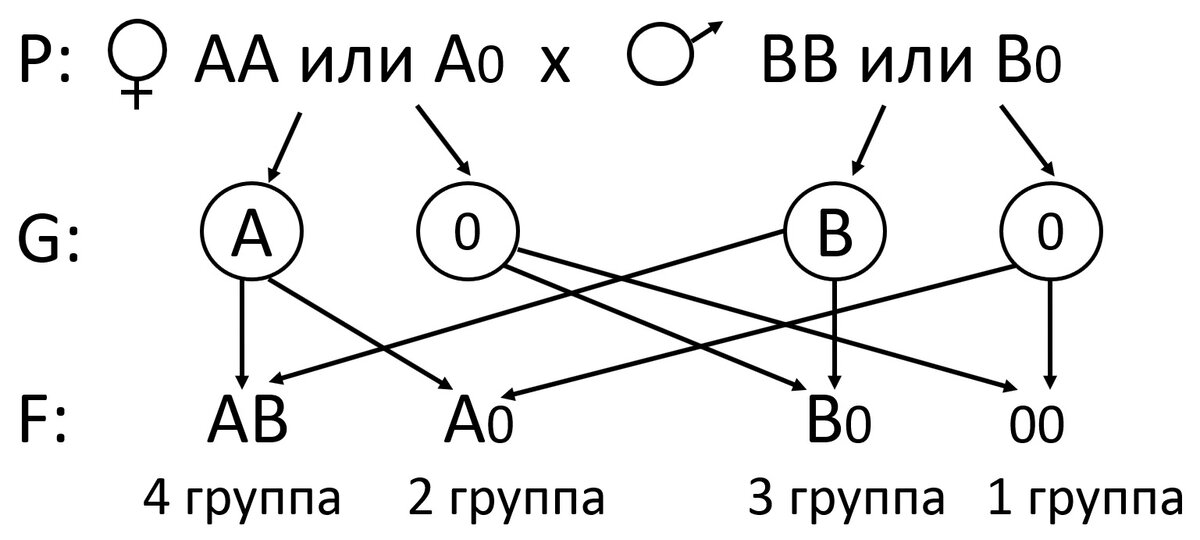 может ли быть 3 группа крови если у родителей 1 и 2