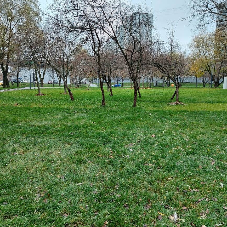 Самая не серая фотка, какую только смогла сделать